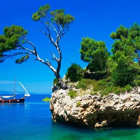 House Holiday home *
